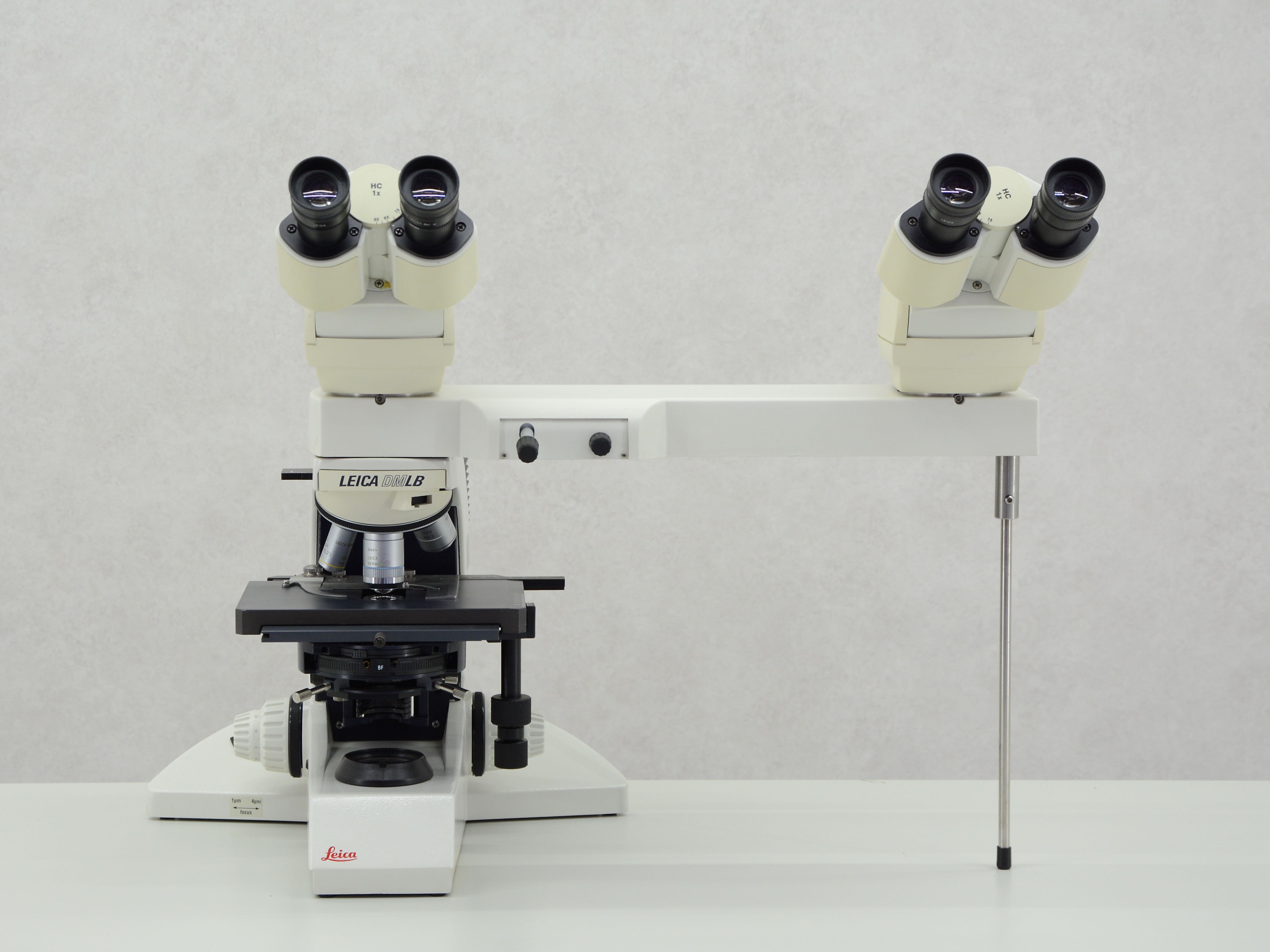 Microscope Leica Dmlb Gemini Bv